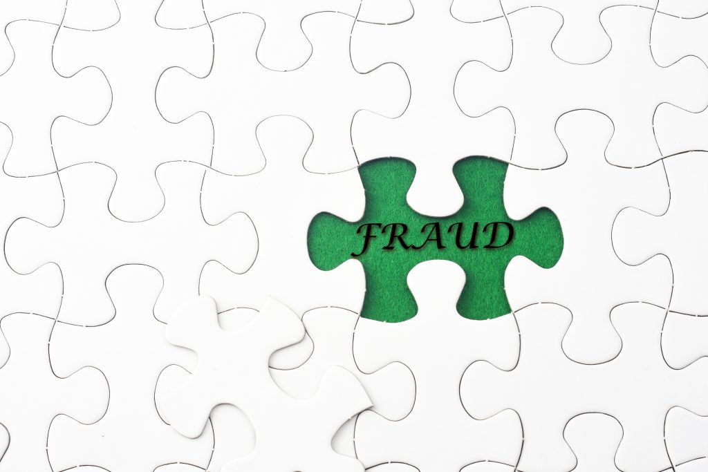 Expense Fraud Puzzle