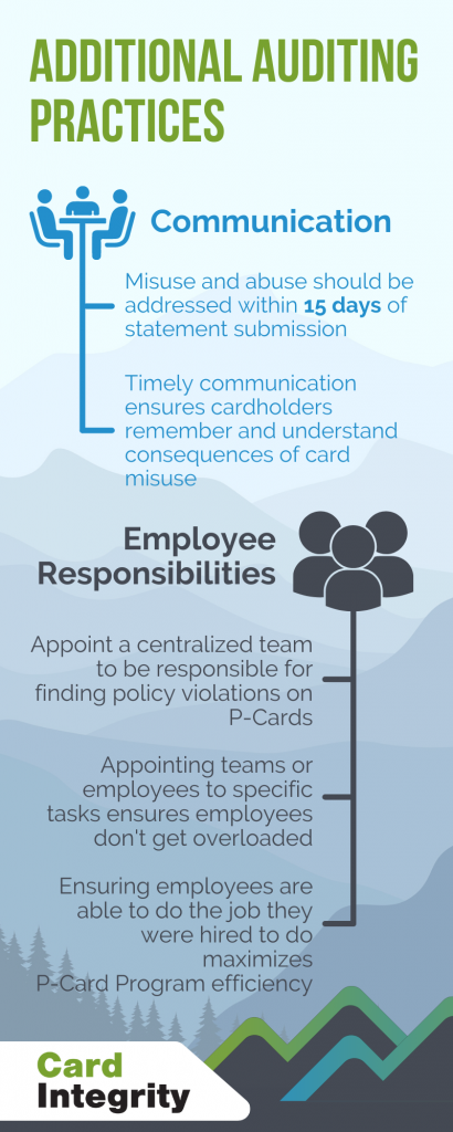 Additional auditing practices