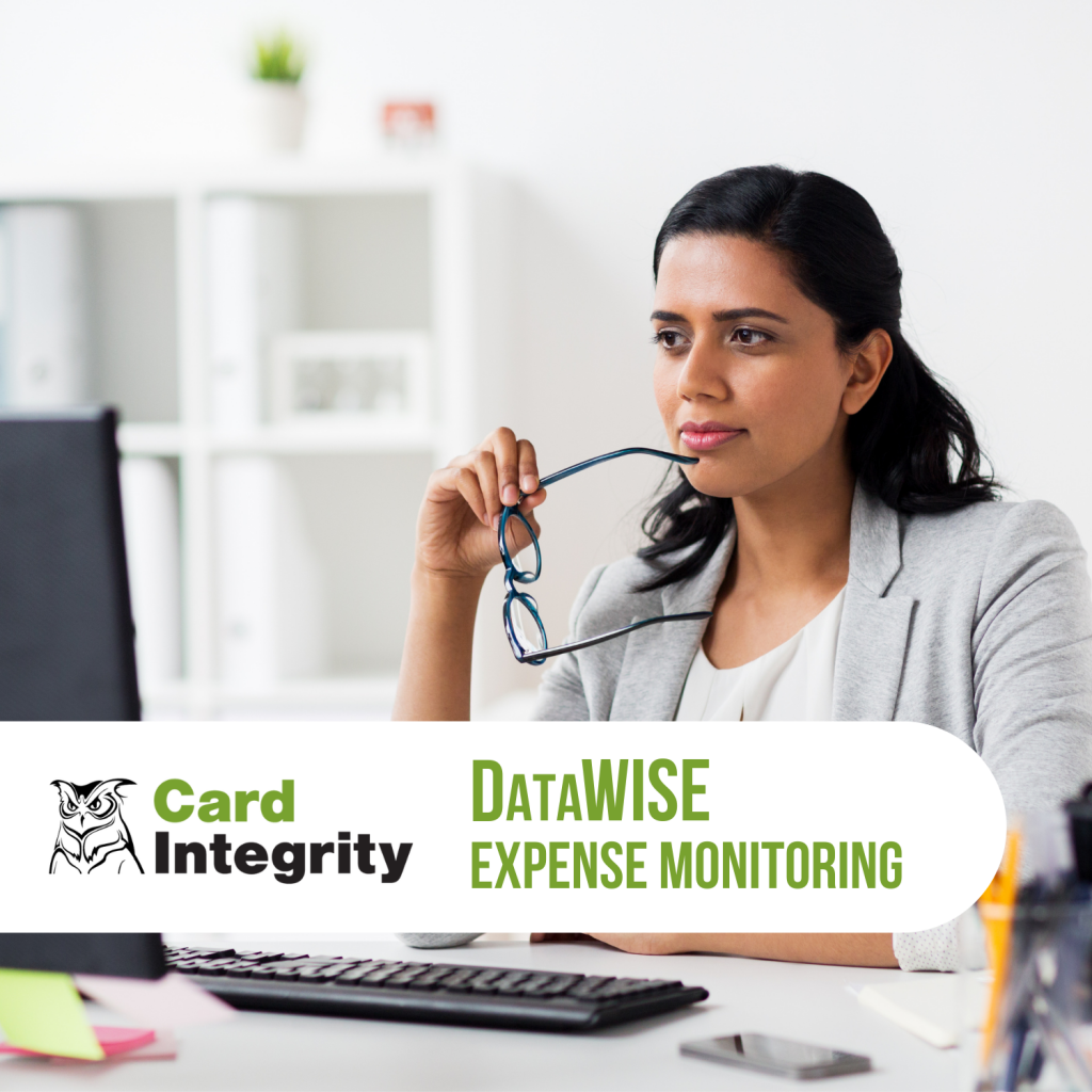 DataWISE Expense Data Monitoring from Card Integrity