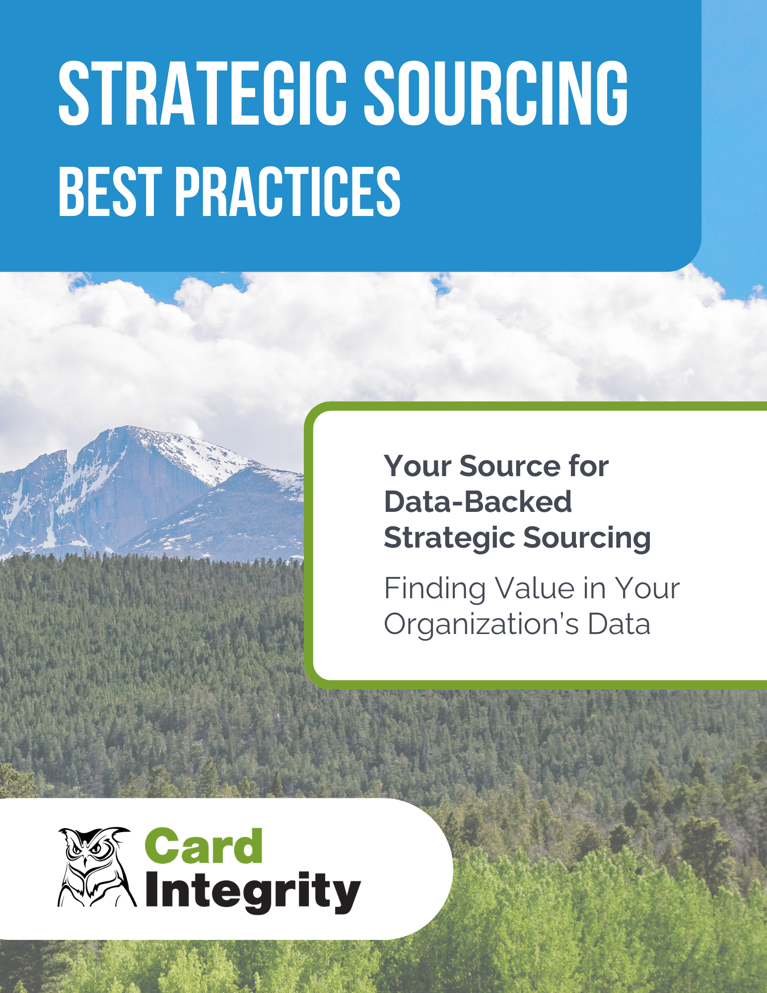 "Strategic Sourcing Best Practices" eGuide front cover 