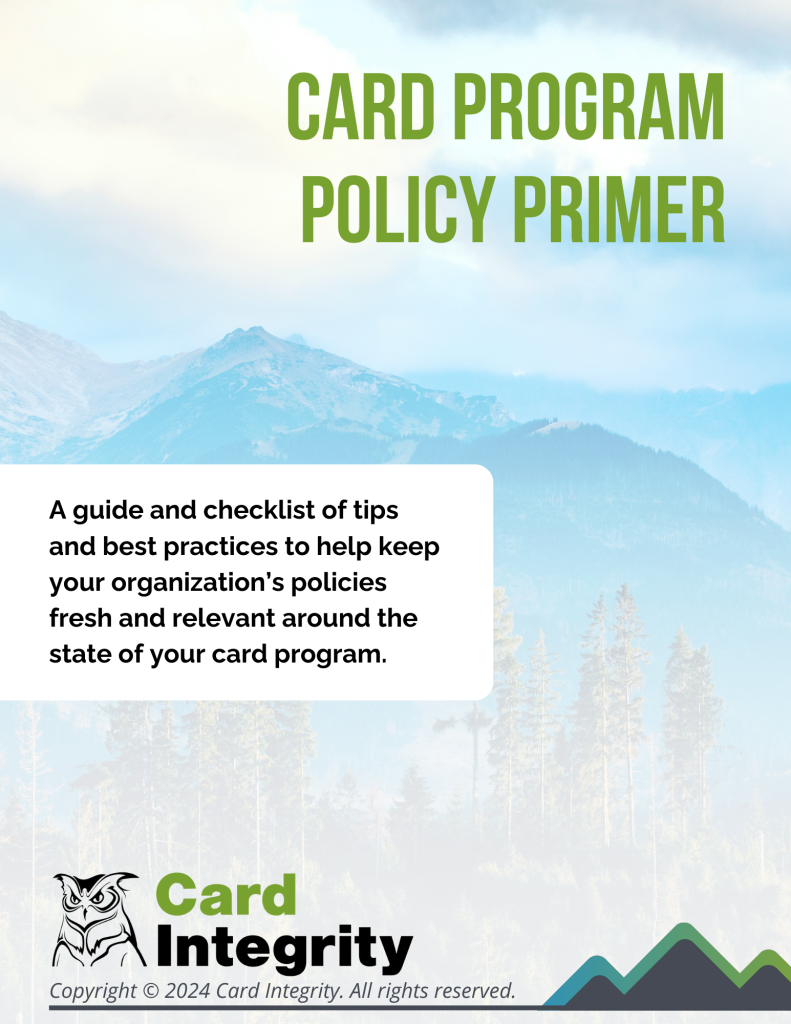 A preview image for Card Integrity's "Card Program Policy Primer" guide.