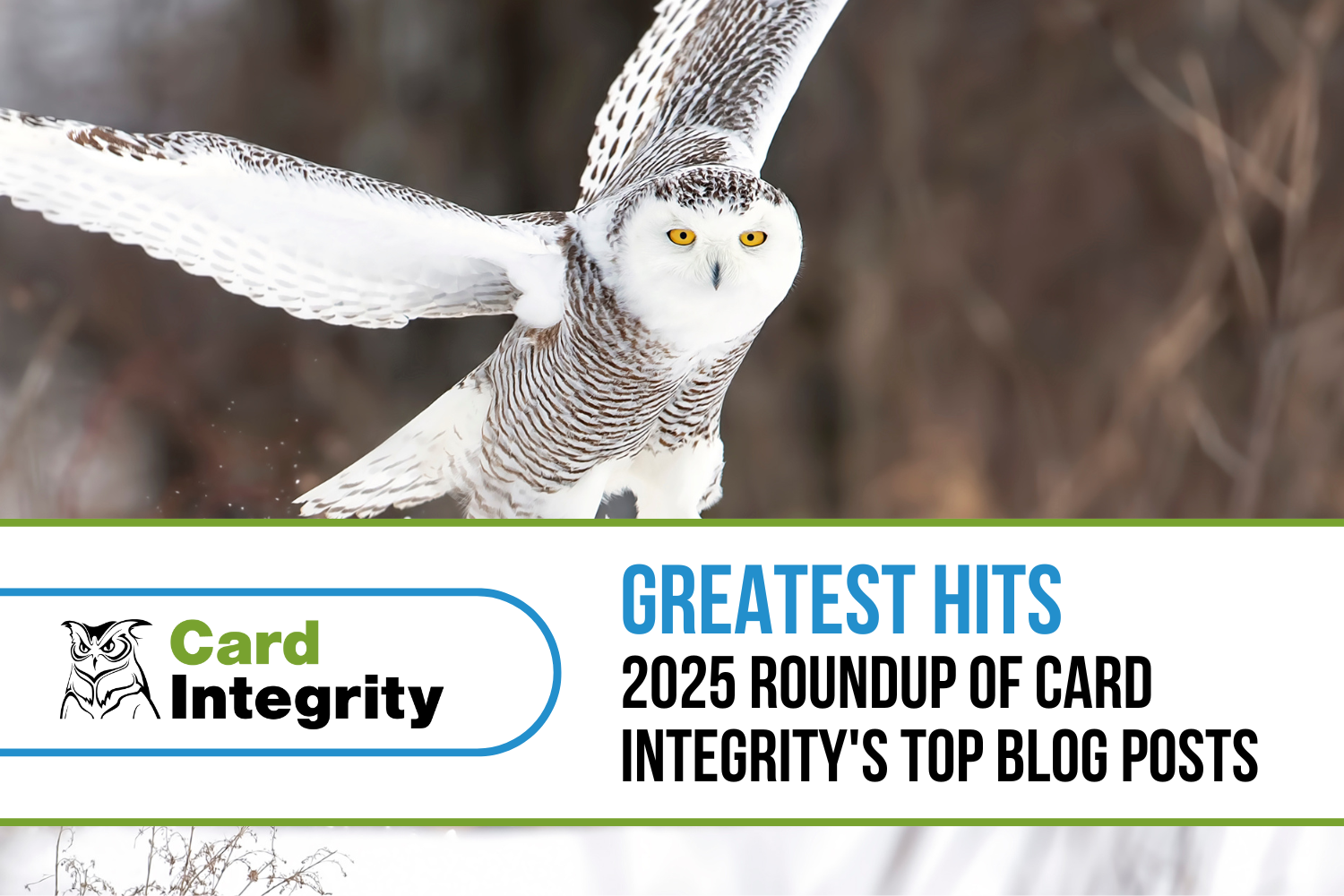Greatest Hits 2025 Blog Posts and Articles from Card Integrity