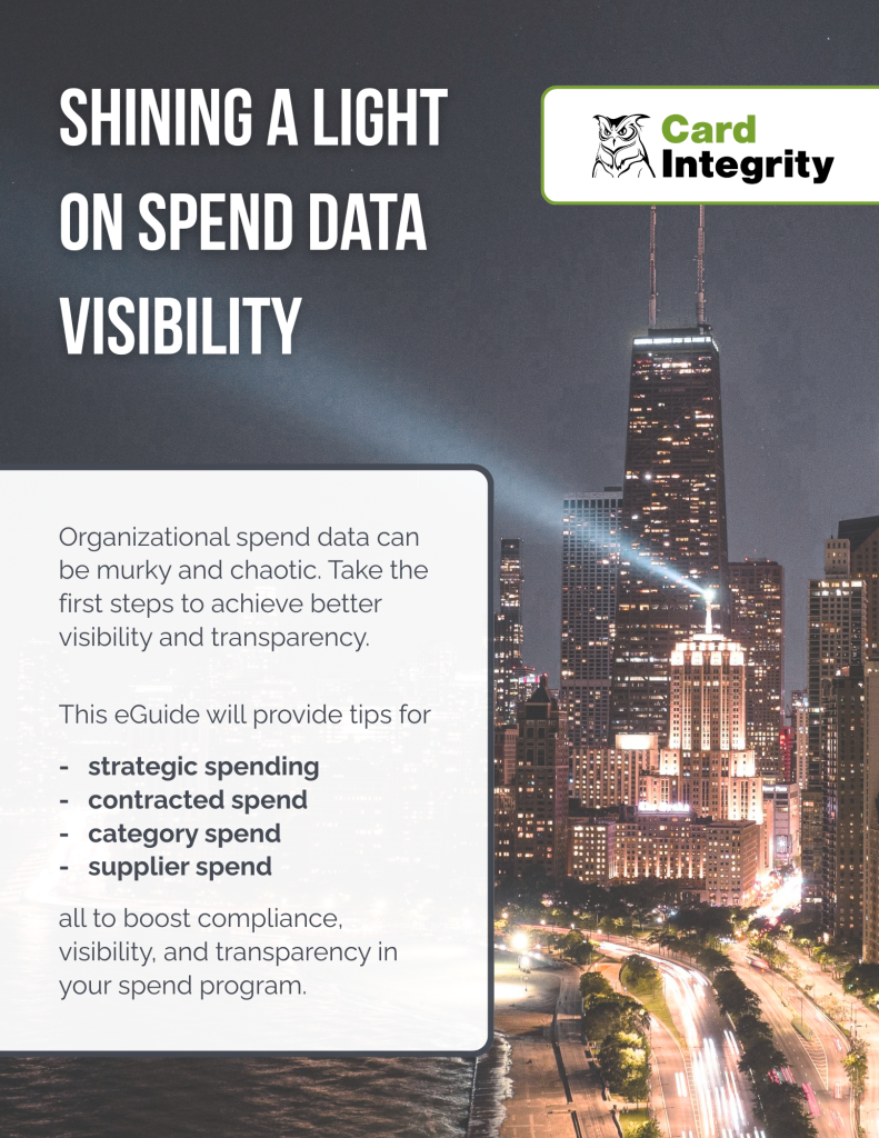eGuide - Shining a Light on Spend Data Visibility